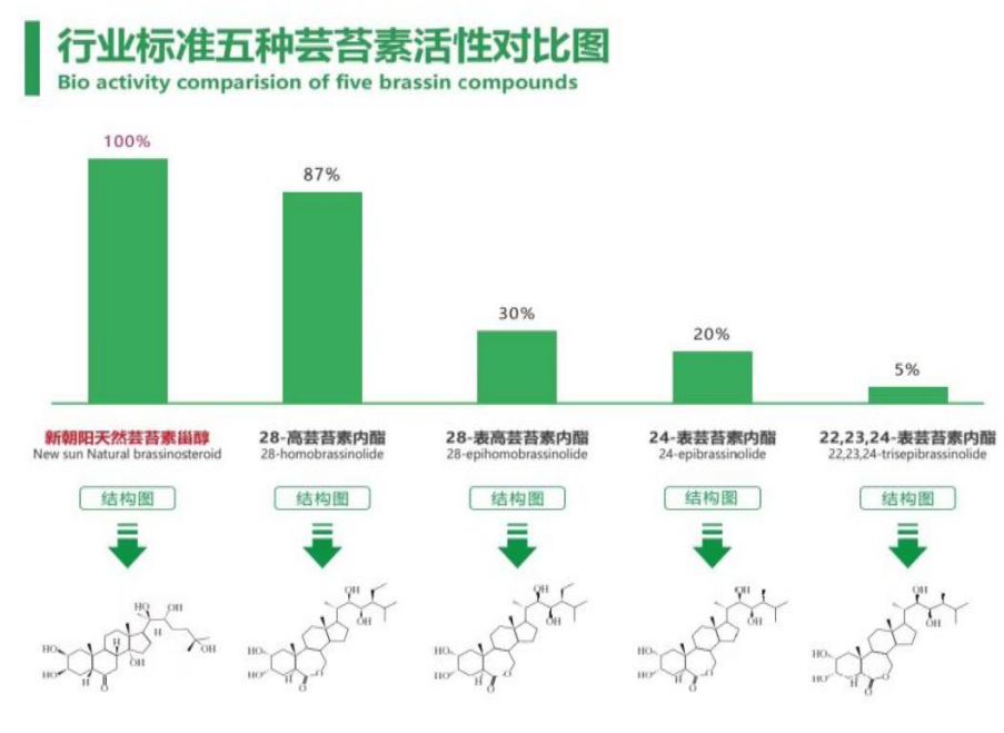 小麦拌种选AG亚娱天然芸苔素，让小麦高产赢在起跑线上！（小麦在什么时候用芸苔素效果最佳）